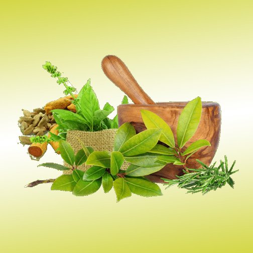 BNYS – Bachelor of Naturopathy and Yogic Sciences